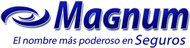 ABSTRACT - Magnum Insurance Agency